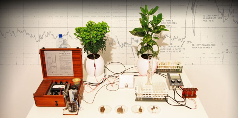 I-SEGRETI-DELLA-NATURA-TRA-TERRA-E-CIELO