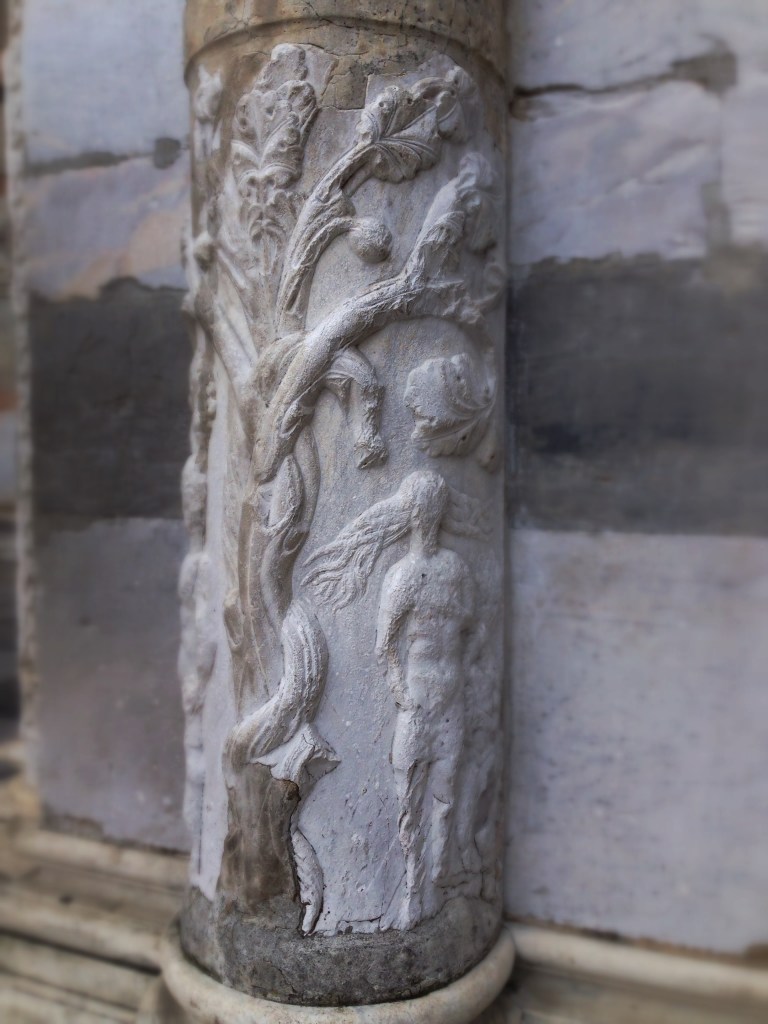 Albero della vita - Lucca-San Martino - eva - IMG_6060